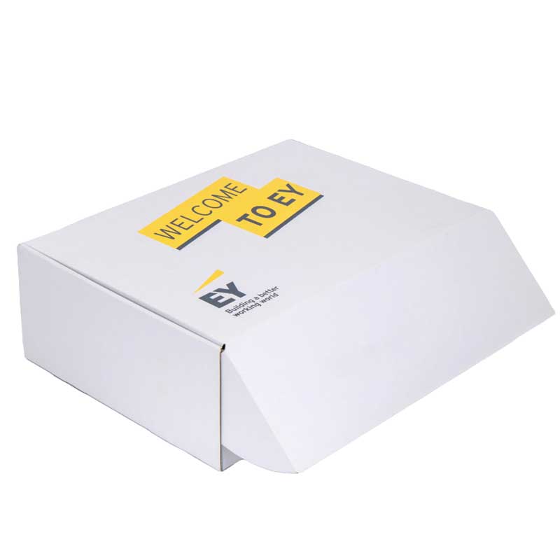 Κουτιά αποστολών κούριερ ή lunchbox με εταιρικό λογότυπο - χονδρική